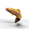 GoldenTrout02